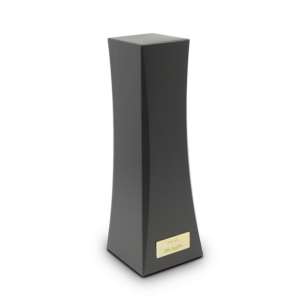 DS-Audio | ION-001 | Vinyl & Digital Disk Ionizer